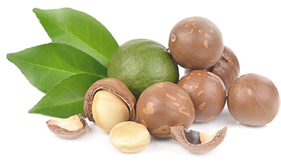 https://bushessentials-cairns.com.au/wp-content/uploads/2020/04/Macadamia-Nuts-PNG-Image-Background.png
