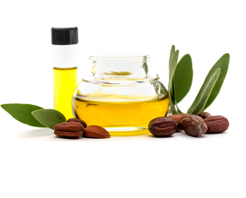 https://bushessentials-cairns.com.au/wp-content/uploads/2020/04/jojoba-oil-500x500-1.png